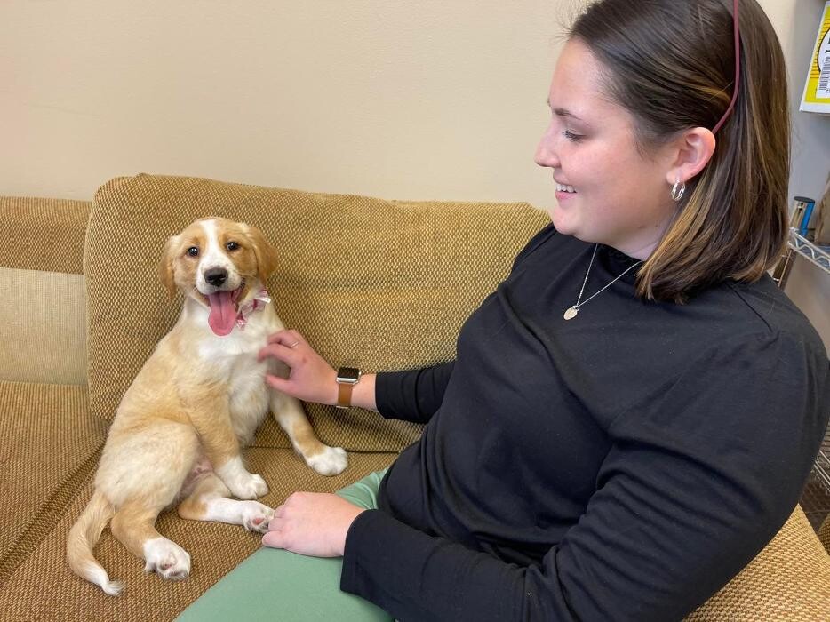 Images Faw Casson CPA