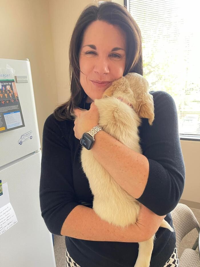 Images Faw Casson CPA