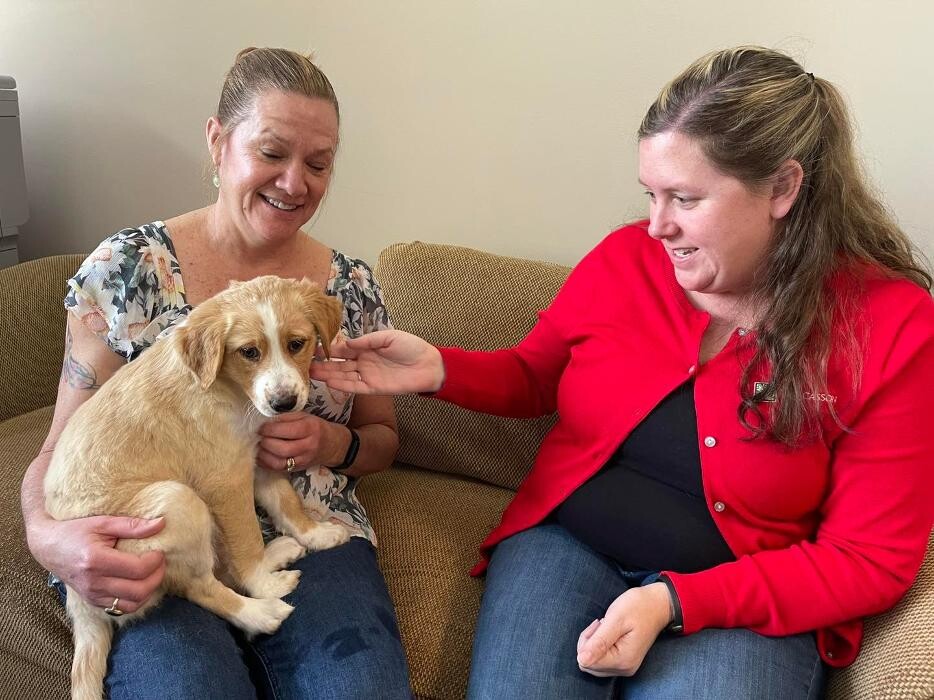 Images Faw Casson CPA