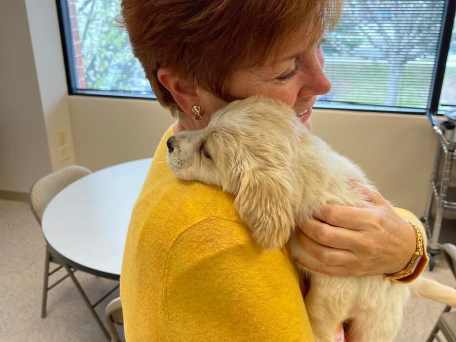 Images Faw Casson CPA