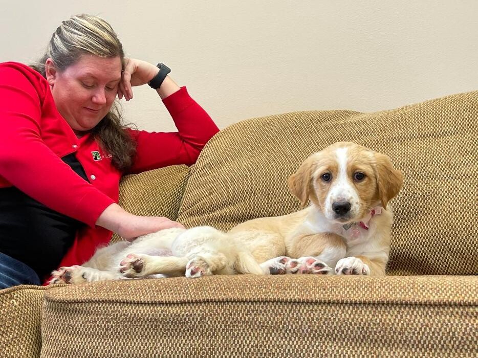 Images Faw Casson CPA