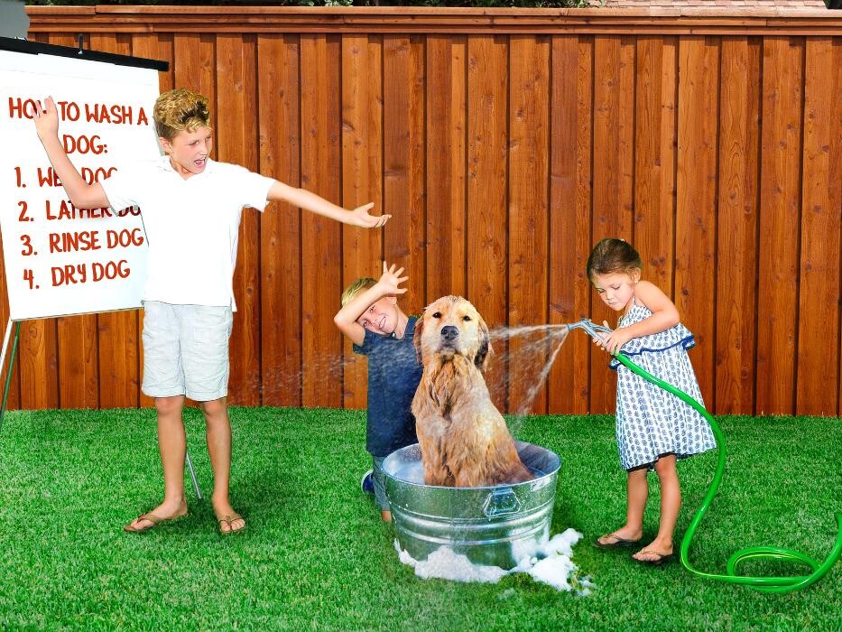 Images Faw Casson CPA