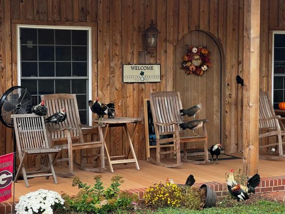 Images Carolina Heritage Vineyard & Winery