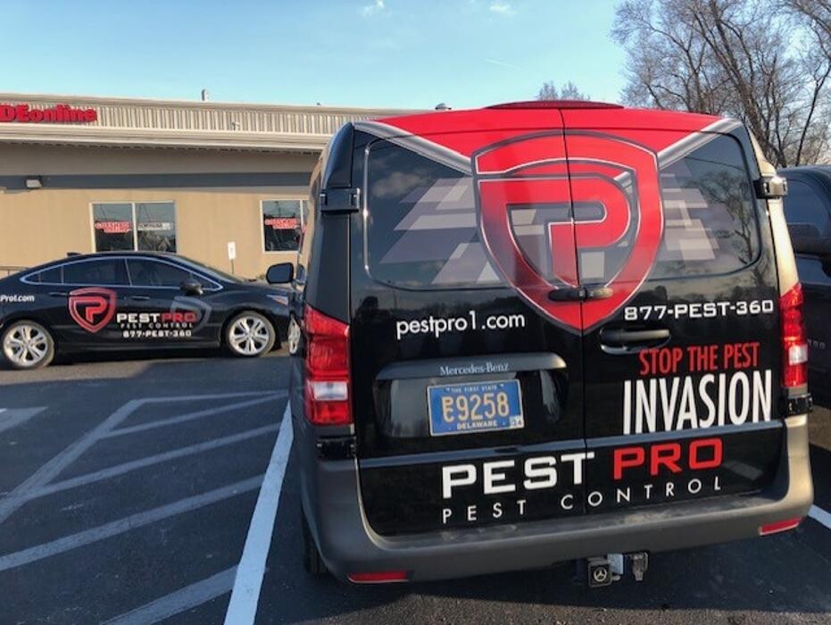 Images Pest Pro