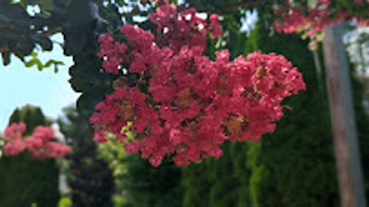 Images Somerset Falls Family Park