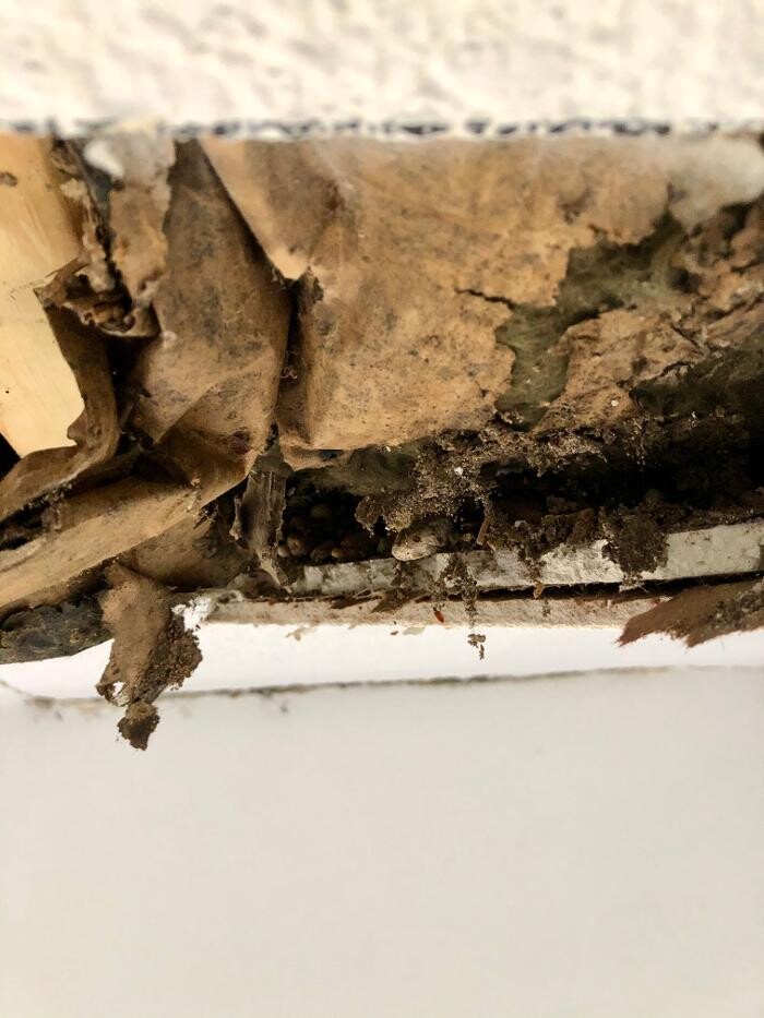 Images Mold Masters