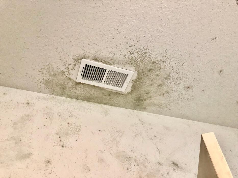 Images Mold Masters