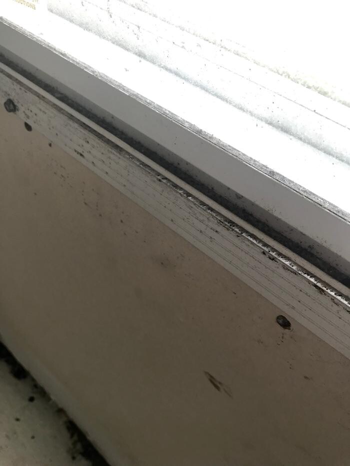 Images Mold Masters
