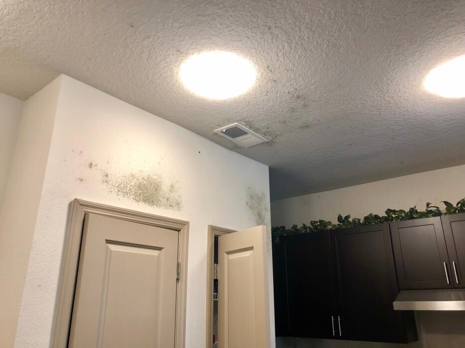 Images Mold Masters