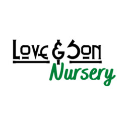 Love & Son Nursery Logo
