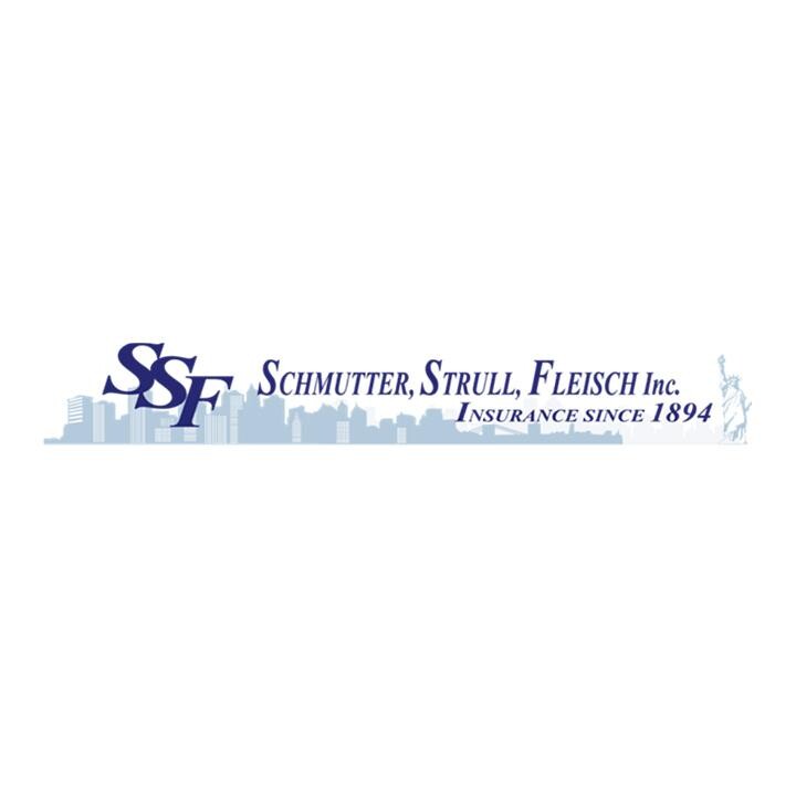 Schmutter Strull Fleisch Inc Logo
