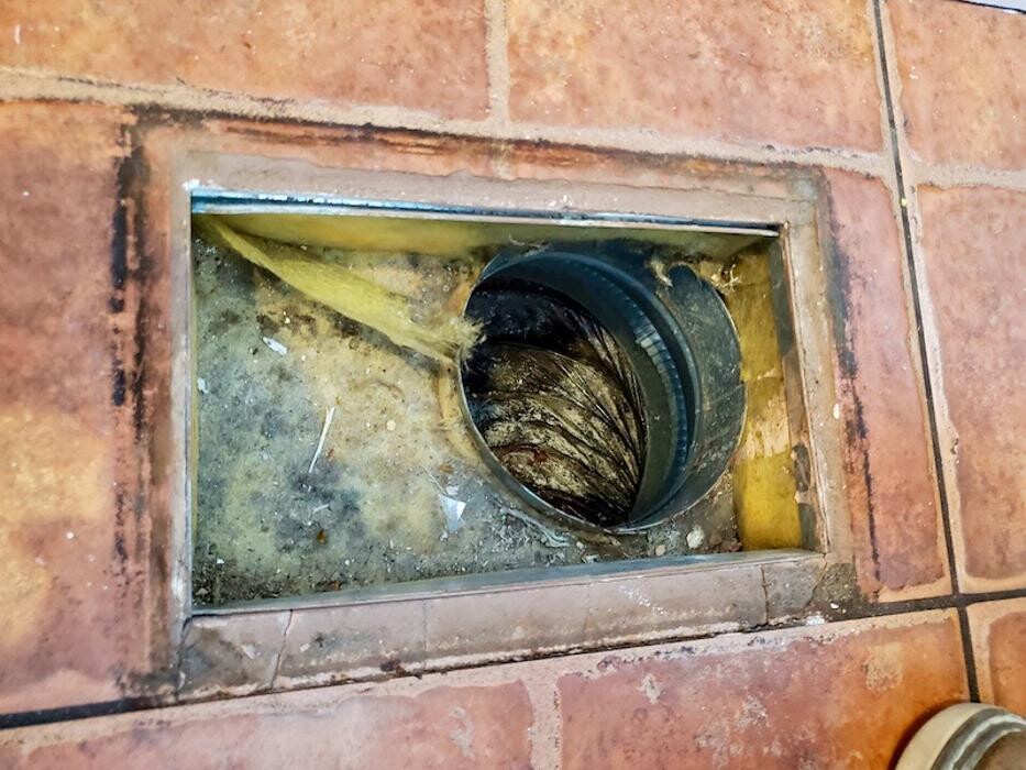 Images Mold Masters