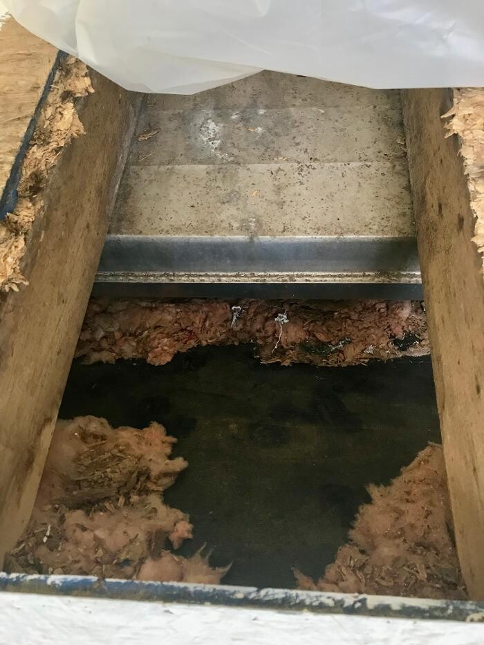 Images Mold Masters