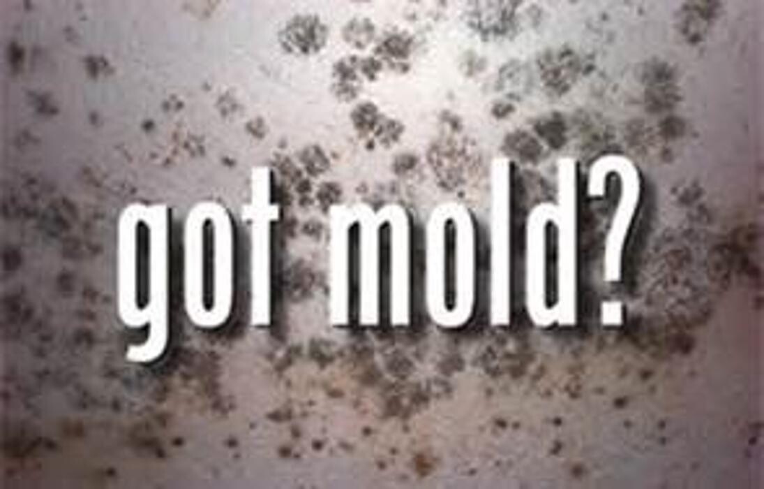 Images Mold Masters - Mold Remediation & Testing Experts