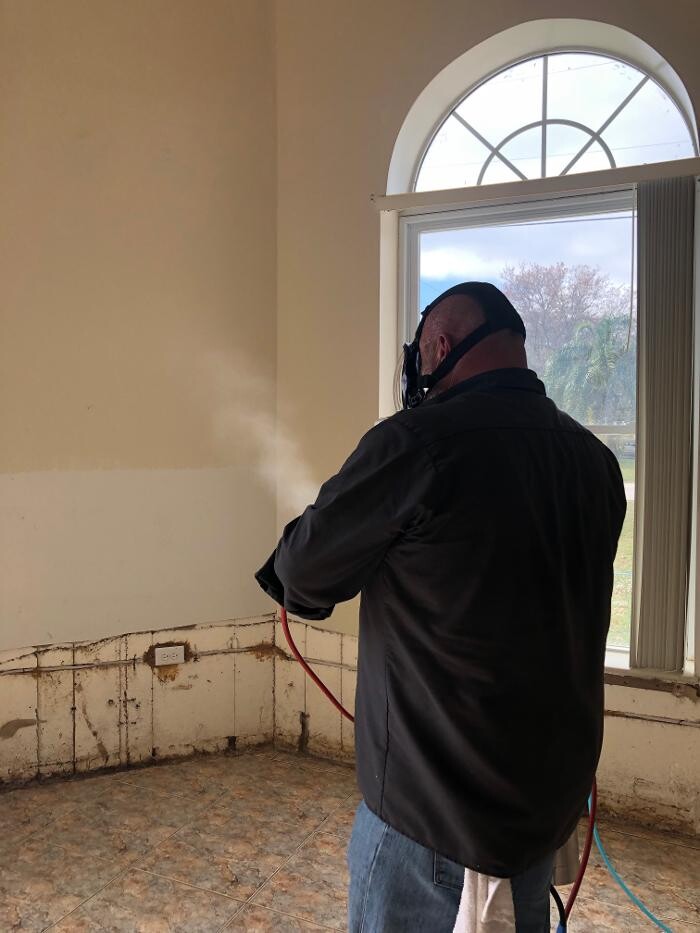 Images Mold Masters - Mold Remediation & Testing Experts