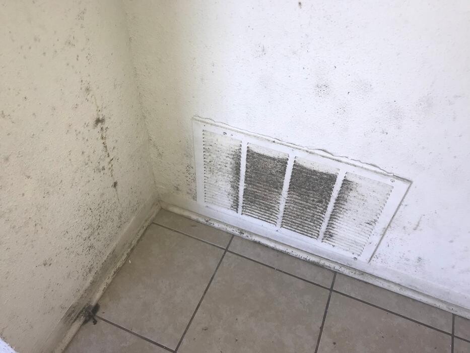 Images Mold Masters