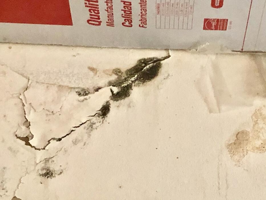 Images Mold Masters