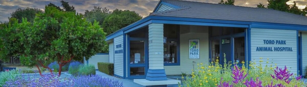 Images Toro Park Animal Hospital