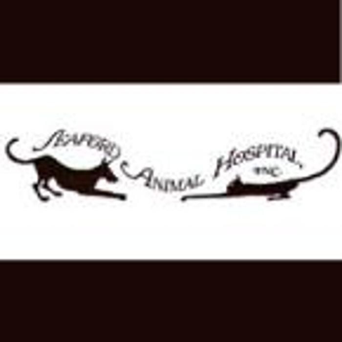 Images Seaford Animal Hospital