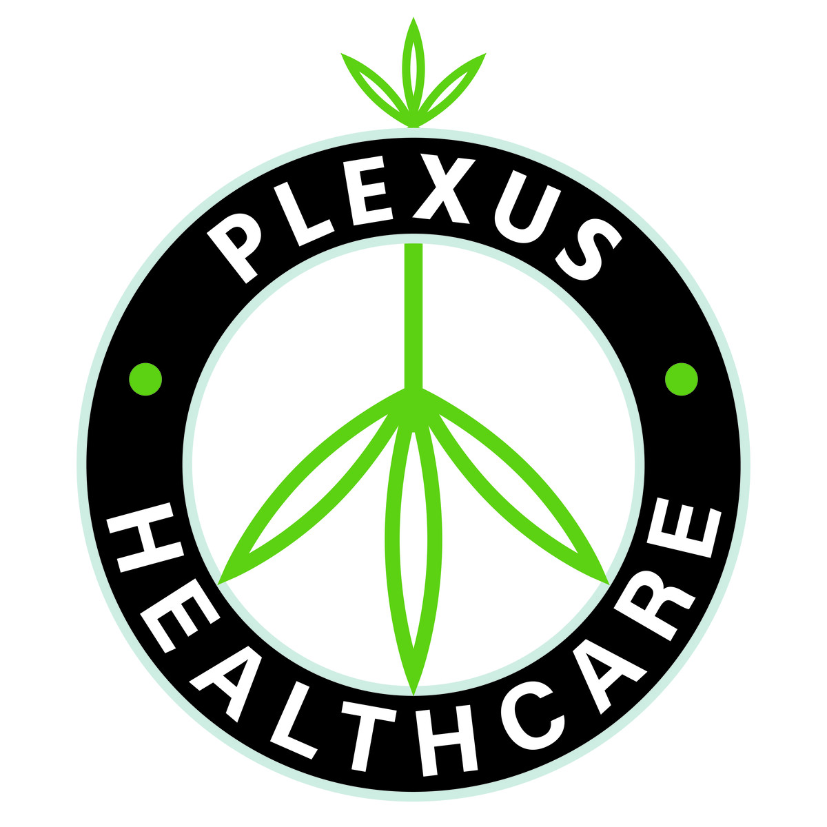 Plexus Healthcare Logo