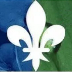 Suzana Adams PsyD Logo