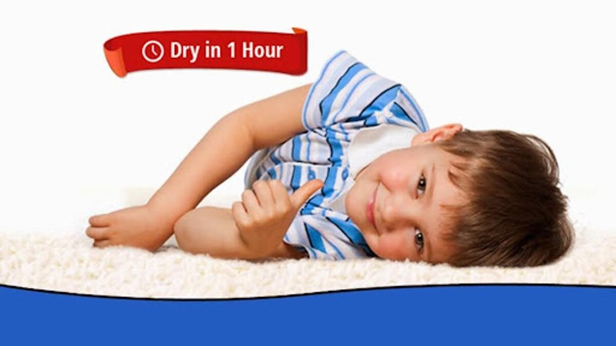 Images Heaven's Best Carpet Cleaning of Auburn CA