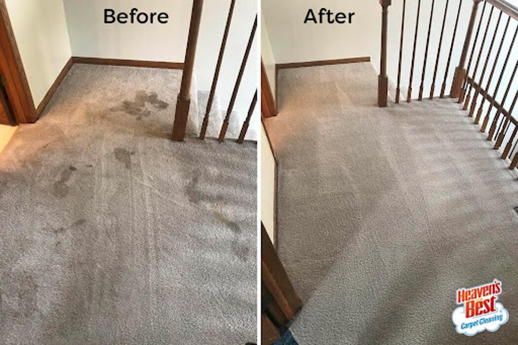 Images Heaven's Best Carpet Cleaning of Auburn CA