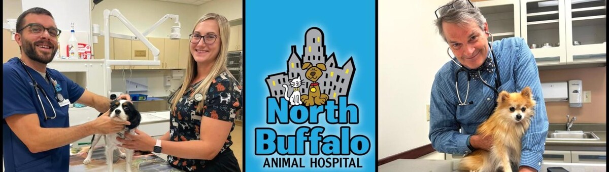 Images North Buffalo Animal Hospital