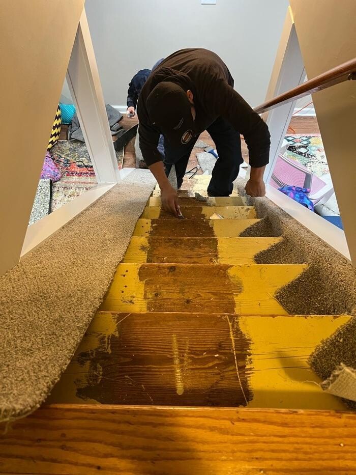 Images SMART Carpet and Flooring