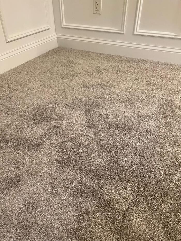 Images SMART Carpet and Flooring