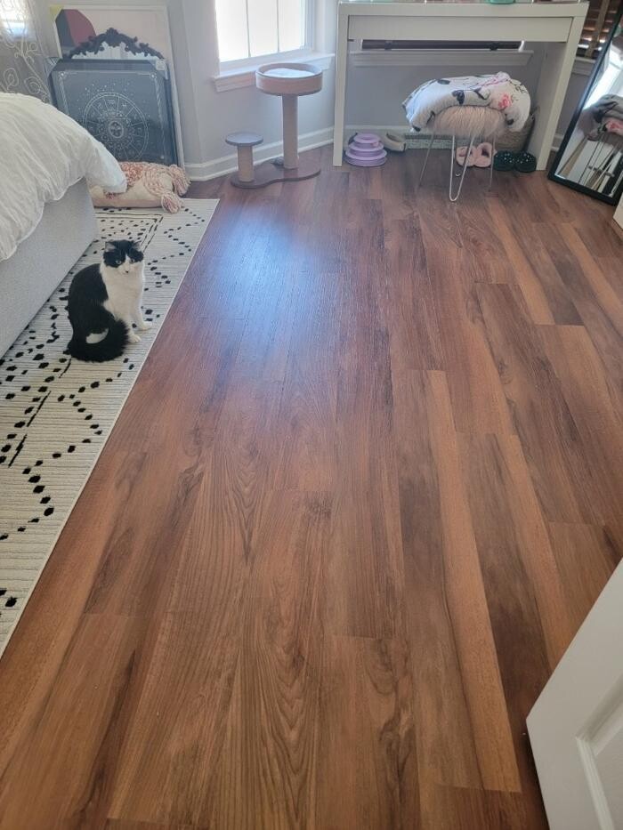 Images SMART Carpet and Flooring