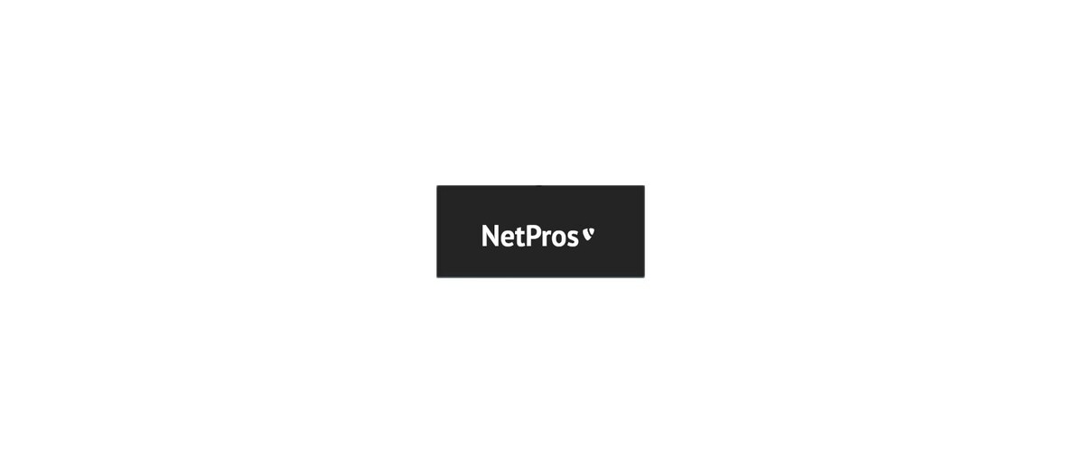 NetPros Logo