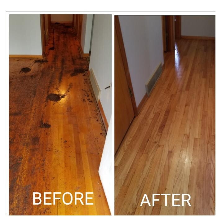 Images PG Hardwood Floor Refinishing LLC