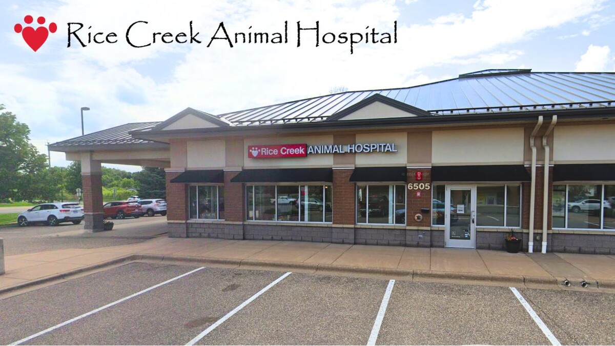 Images Rice Creek Animal Hospital