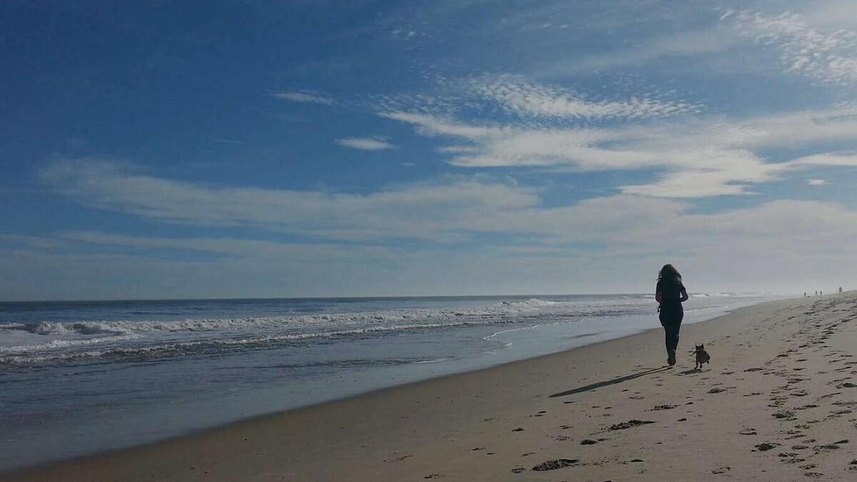 Images SurfSide Dog LLC