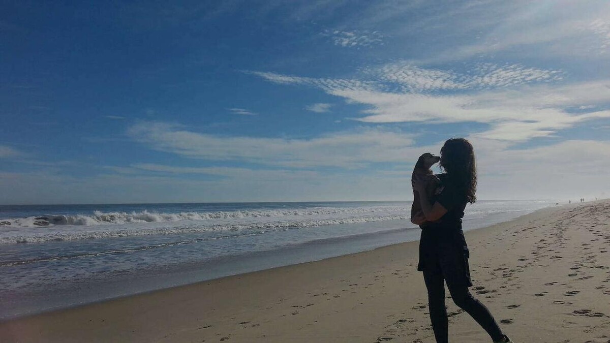 Images SurfSide Dog LLC