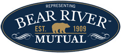 Images Lewis Insurance Agency