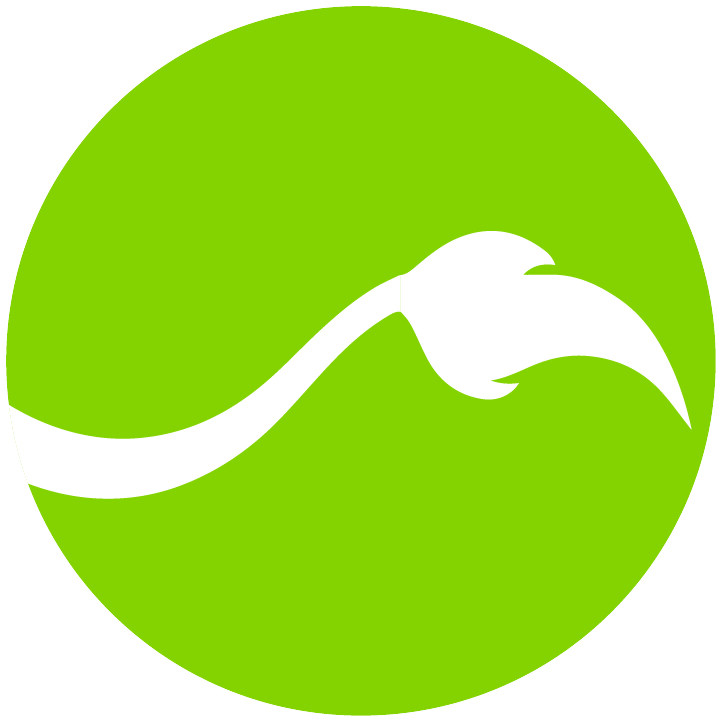 Lionheart Children's Academy at Bent Tree Bible Logo