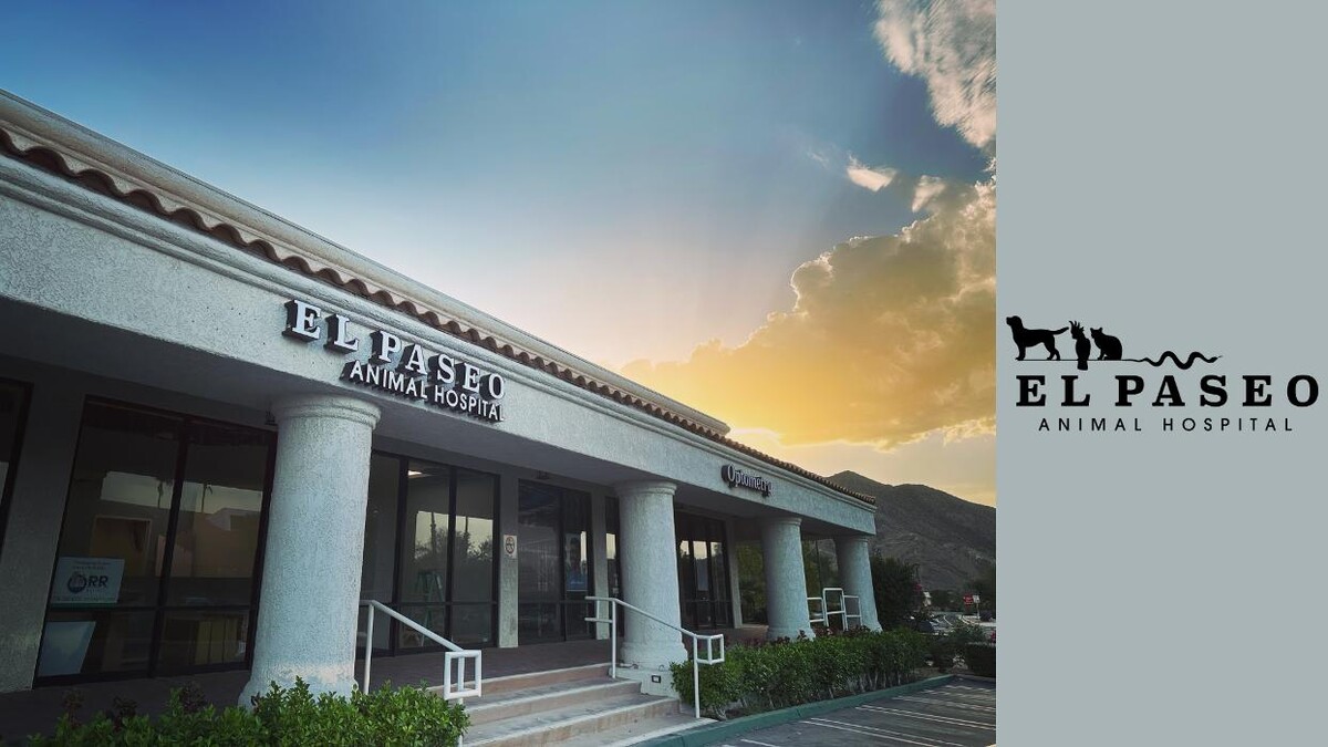 Images El Paseo Animal Hospital