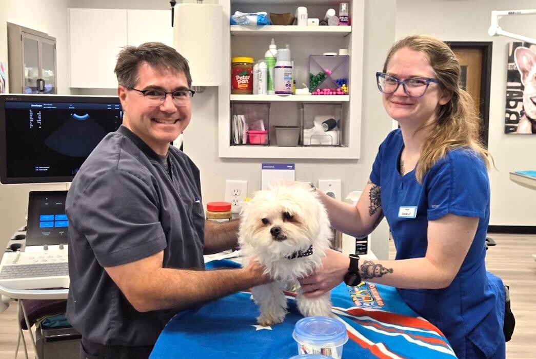 Images River Oak Vet