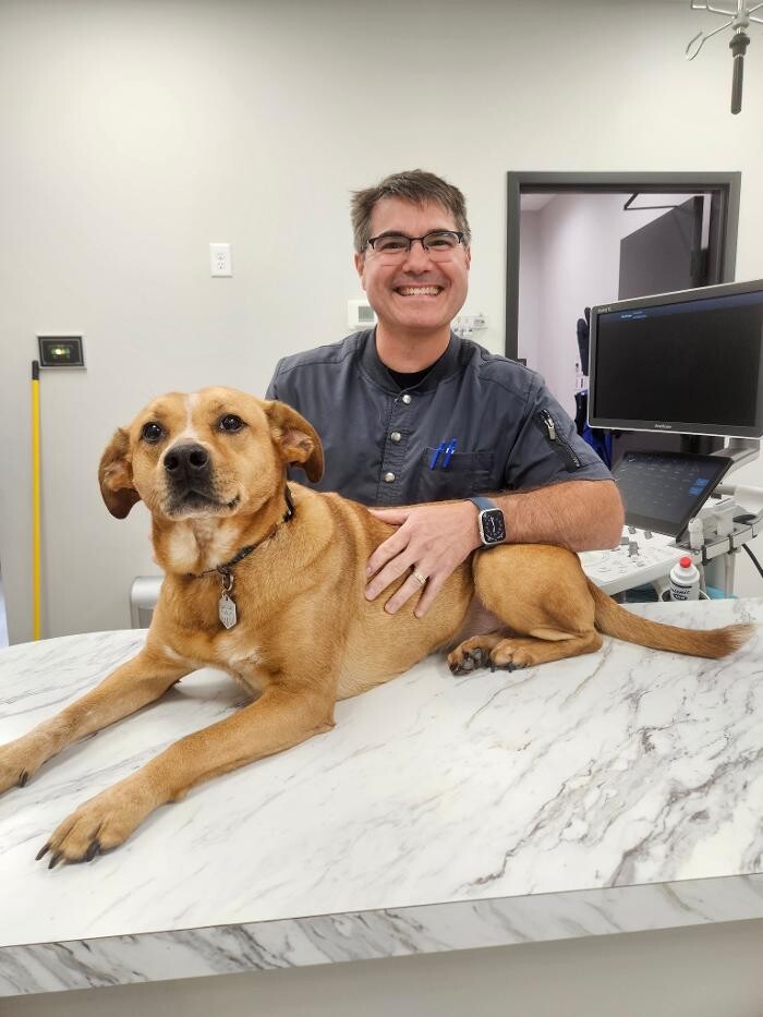 Images River Oak Vet