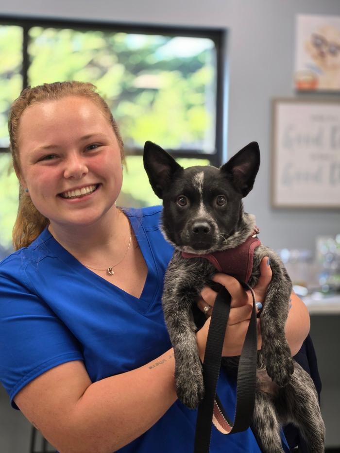 Images River Oak Vet