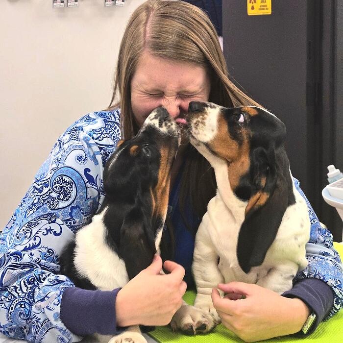 Images River Oak Vet