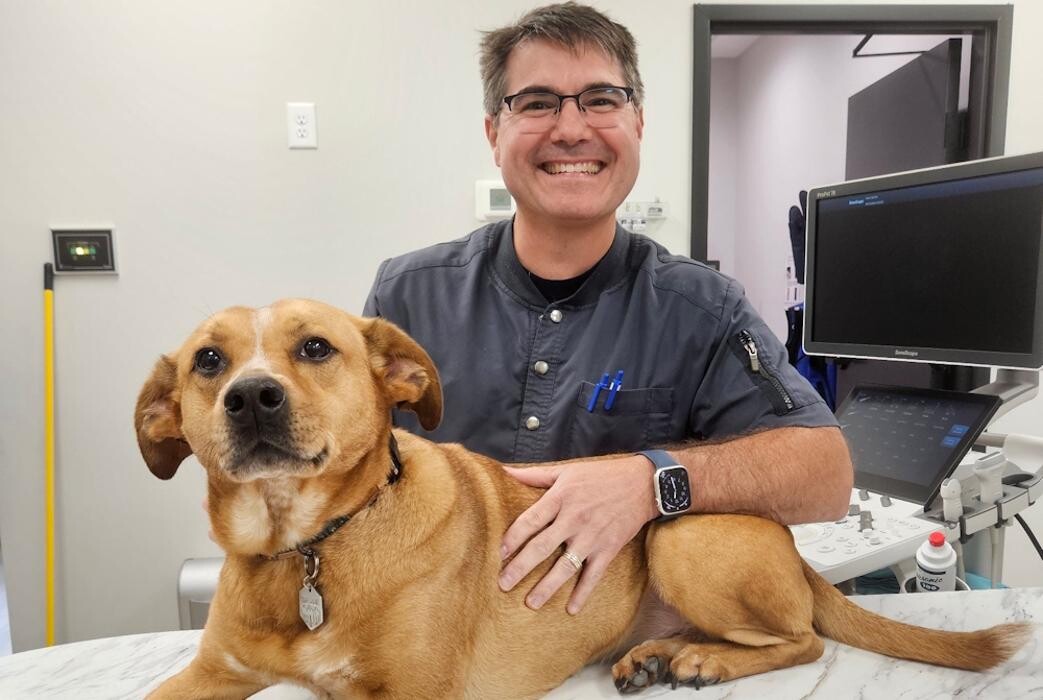 Images River Oak Vet