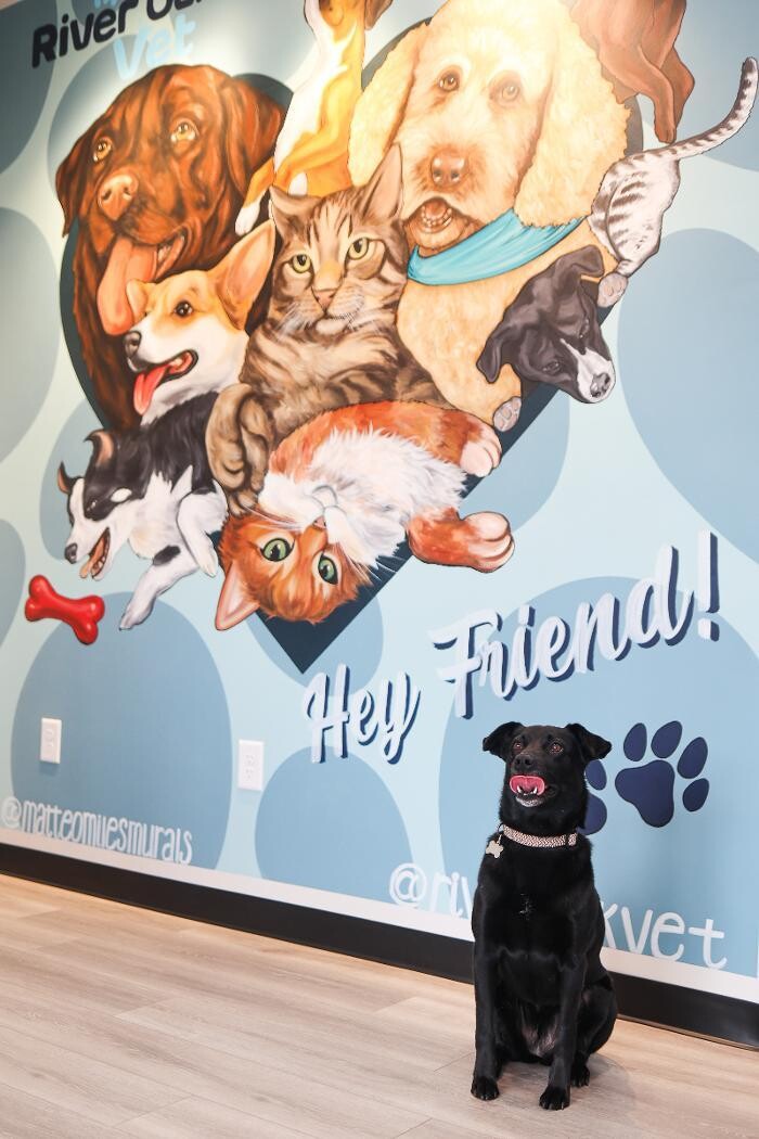 Images River Oak Vet