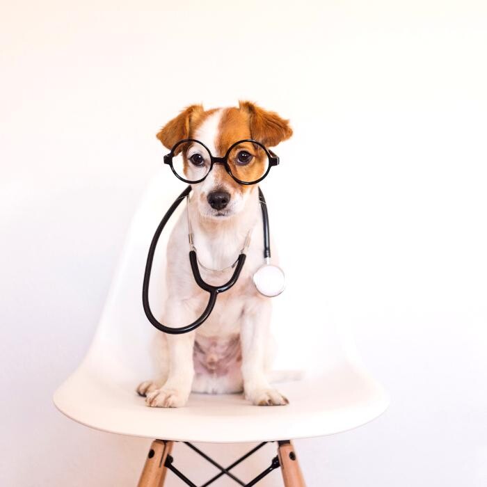 Images River Oak Vet