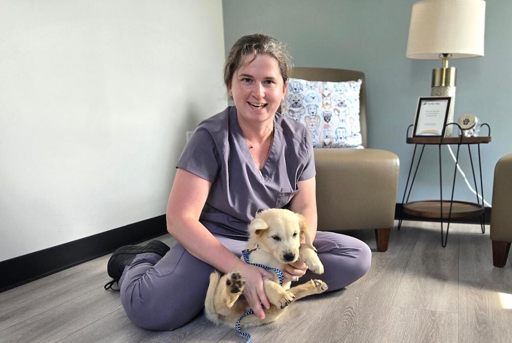 Images River Oak Vet