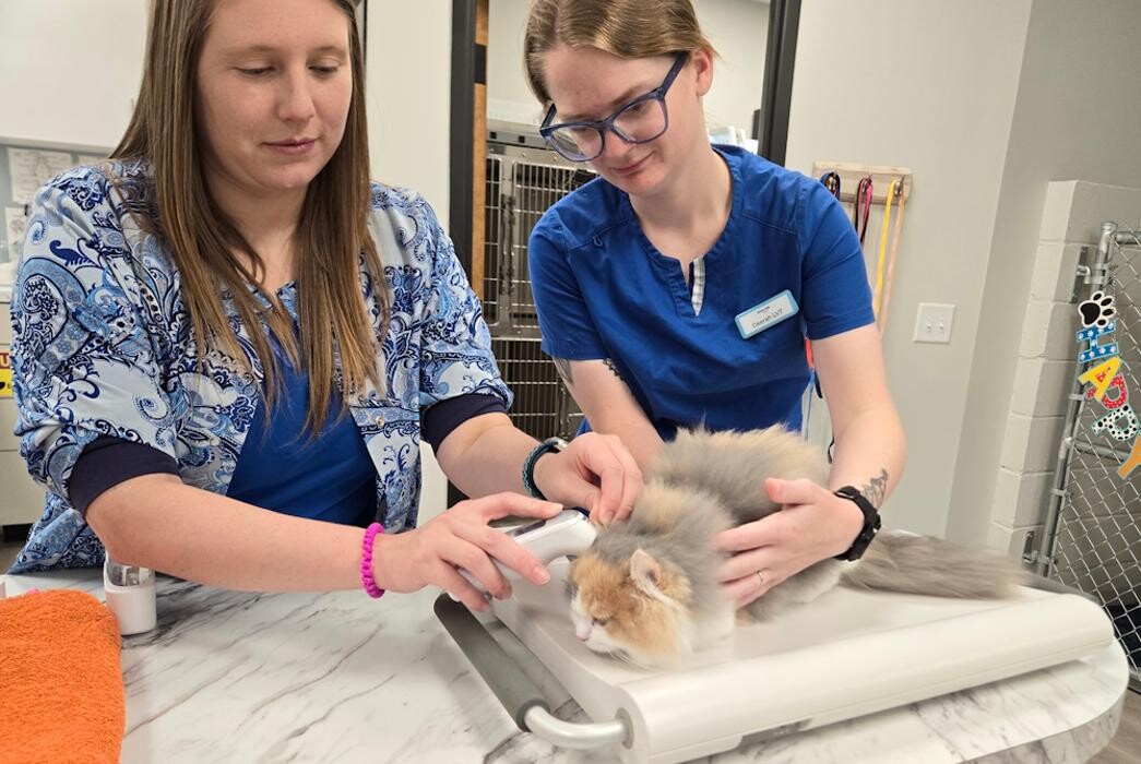 Images River Oak Vet