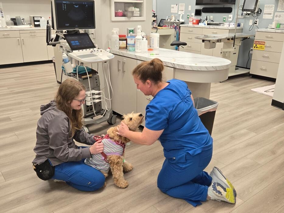 Images River Oak Vet