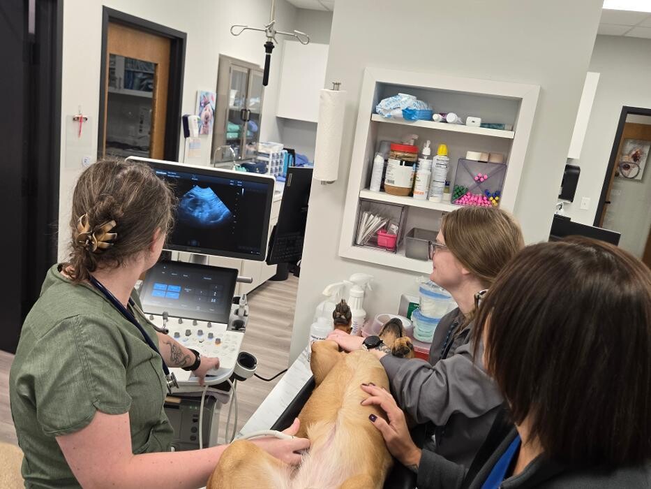 Images River Oak Vet